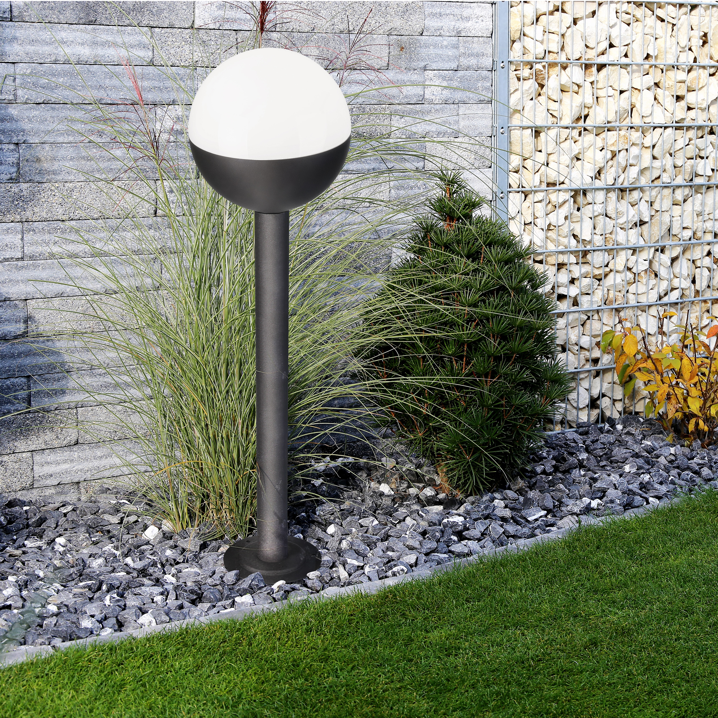 Neat and tidy garden