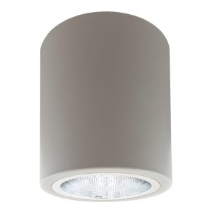 Sanico Goldlux oprawa natynkowa MERKURY 10 E27 okrągła stała szara IP20 - 313621